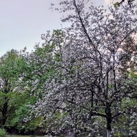 Последний день весны :: Ольга Довженко