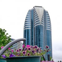 Парк Любви на фоне Грозный-Сити :: Георгий А