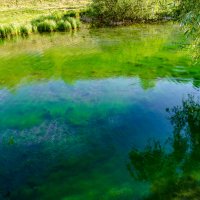 вот такая водичка в щопино :: Александр Леонов