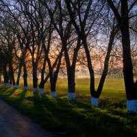 Придорожный рассвет :: M Marikfoto