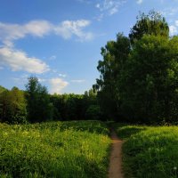 Вступаем в настоящее лето. А я въезжаю на велосипеде. :-) :: Андрей Лукьянов