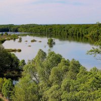 Вид с обрыва на Хопёр. :: Восковых Анна Васильевна 