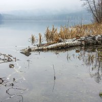 Туманное утро на озере Инышко. :: Алексей Трухин