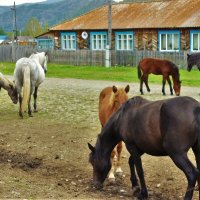 В селе Беренжак :: Сергей Чиняев 