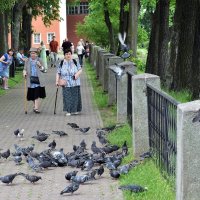 На аллеях монастыря. :: Татьяна Помогалова