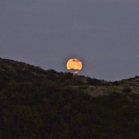 Тихим вечером...из-за сопки выплывает луна... :: Мария Васильева
