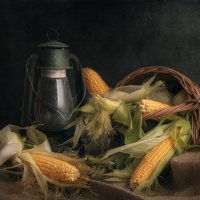 Натюрморт с кукурузой :: Максим Вышарь