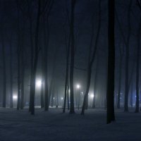 Светили  в парке фонари :: Олег Денисов