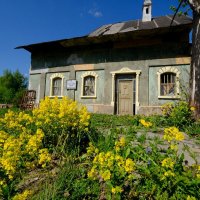 В Ленинских Горках (6) :: Георгий А