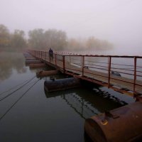 Утро на мосту :: Олег Денисов