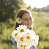 Ромашки, самые романтичные цветы :: Наталья Чуприна
