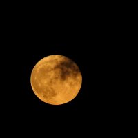 Жёлтая луна с облаками. :: Евгений Седов