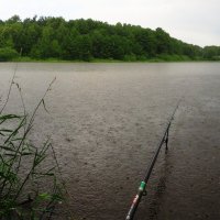 Рыбалка под дождём :: Андрей Снегерёв