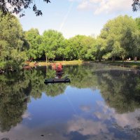 Леоновский пруд в парке «Сад будущего» :: Ольга Довженко