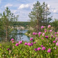 Озеро среди тайги, сине-зеленый цвет воде придают глины, местечко Бельгоп, Ухта, Коми. :: Николай Зиновьев