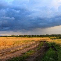 Перед дождём :: Виктория 