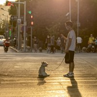 «Человек собаке - друг» :: Konstantin Liubavin