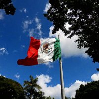 Мексиканский дневник 303 :: Артём Кузнецов