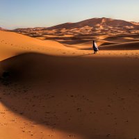 Бербер в Сахаре :: Олег Ы