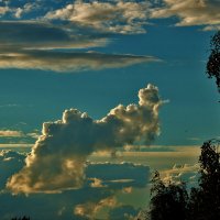 Облака на закате :: Светлана 