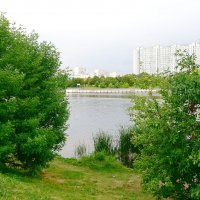 В Марьинском парке :: Сергей Антонов