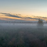 Вечерний туман :: Виктор Желенговский