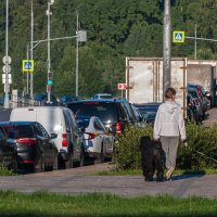 На утренней прогулке :: Валерий Иванович