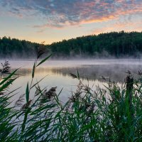 Раннее утро,над озером поднимется туман... :: Алексей Мезенцев