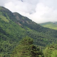 В горах Осетии :: Любовь ***