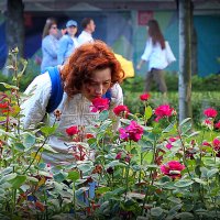 запах розы :: Олег Лукьянов