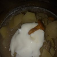 Картошка с грибами со сметаной :: BoxerMak Mak