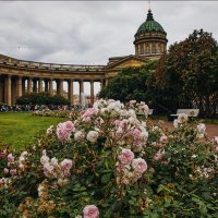 Розы у Казанского собора :: Геннадий Колосов