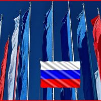 Сегодня День Государственного флага России. :: Татьяна Помогалова