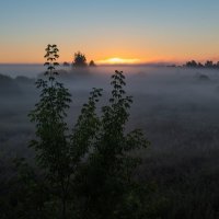 Рассветный туман. :: Виктор Евстратов