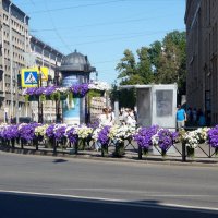 цветы в городе :: zavitok *