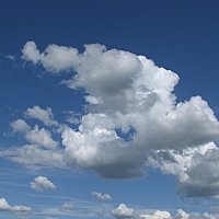 Перелетные облака. :: Владимир Драгунский