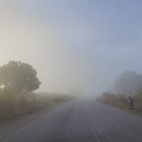 Утренний туман :: Geolog 8