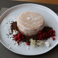 Северный десерт :: Ольга 