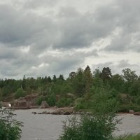 парк Монрепо перед дождем :: Наталия П