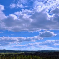 СИНИЙ ЦВЕТ. :: Владимир Мигонькин