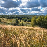 Начало сентября... :: Владимир Жданов