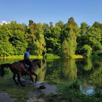 Купание почти красного коня :: Андрей Лукьянов