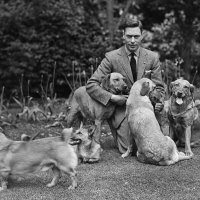 Отец Елизаветы II король Георг VI  со своими собаками :: Лидия 