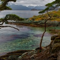 Огненная Земля (Tierra del Fuego), Аргентина :: Олег Ы