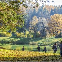 Любование великолепием природы в Павловском парке осенью :: Стальбаум Юрий 