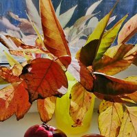 Натюрморт яблоки и осенние листья :: Екатерина Торганская