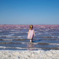 Розовое озеро Сасык-Сиваш в Крыму :: Алёна Годунова