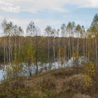 Осенний пейзаж с водой :: Владимир Безгрешнов