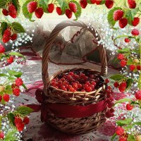 Красные ягоды! :: Нина Андронова