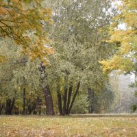 Осенний парк :: sorovey Sol